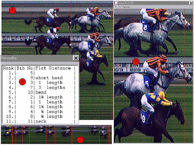 Horses, judging screen (39041 octets)